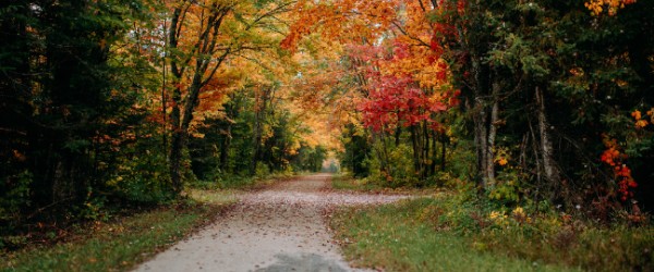 Slideshow Image 3