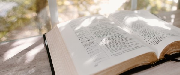 Slideshow Image 6